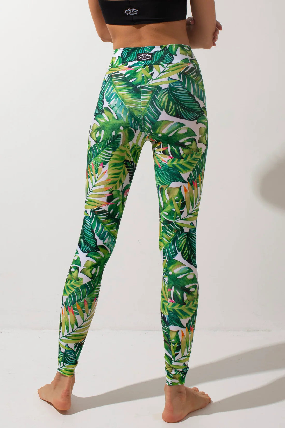 SHARK- BASIC Leggins 長褲