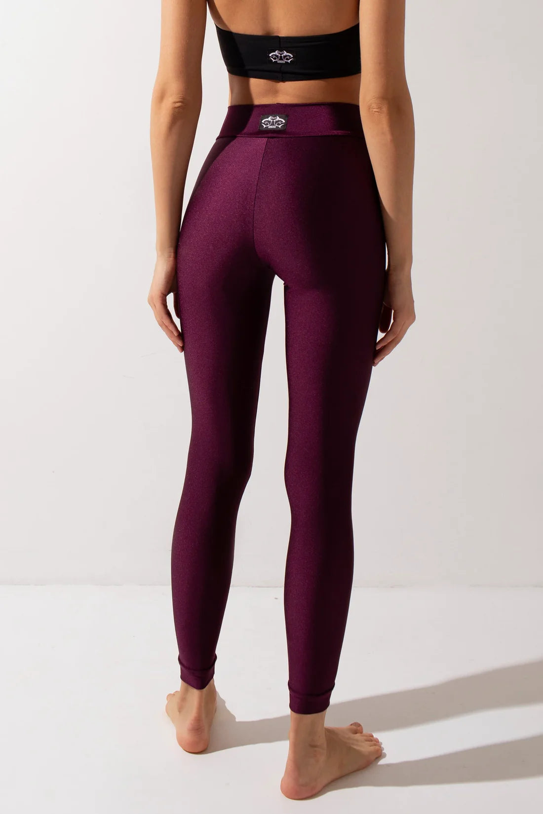 SHARK- BASIC Leggins 長褲