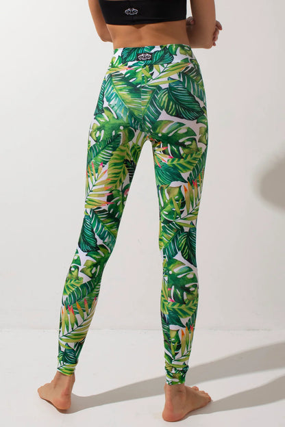 SHARK- BASIC Leggins 長褲
