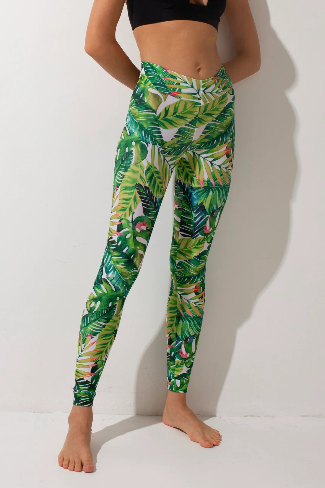 SHARK- BASIC Leggins 長褲