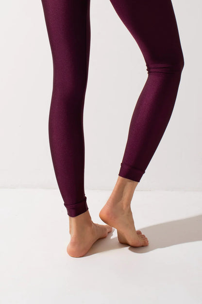 SHARK- BASIC Leggins 長褲